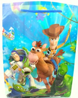 TOYS STORY PARTY BAG